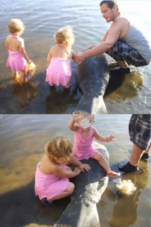 Illustration for article titled Man harasses a baby manatee, puts pics on Facebook, gets arrested